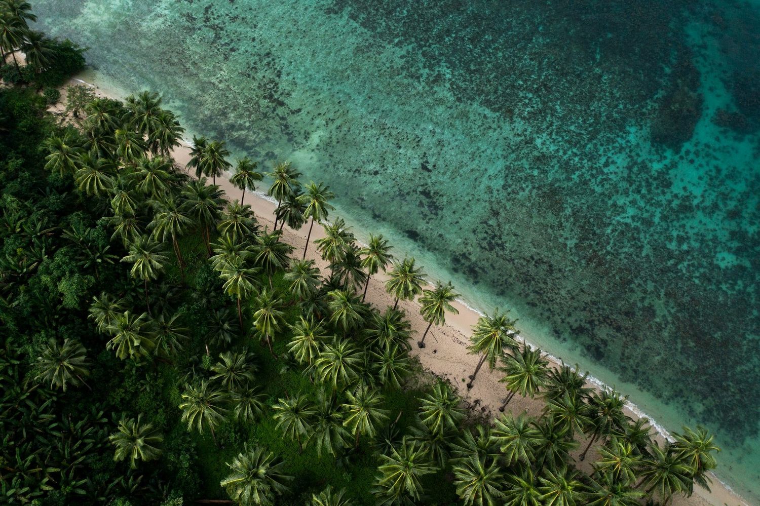 Palms, white sand and turquoise shallows from above