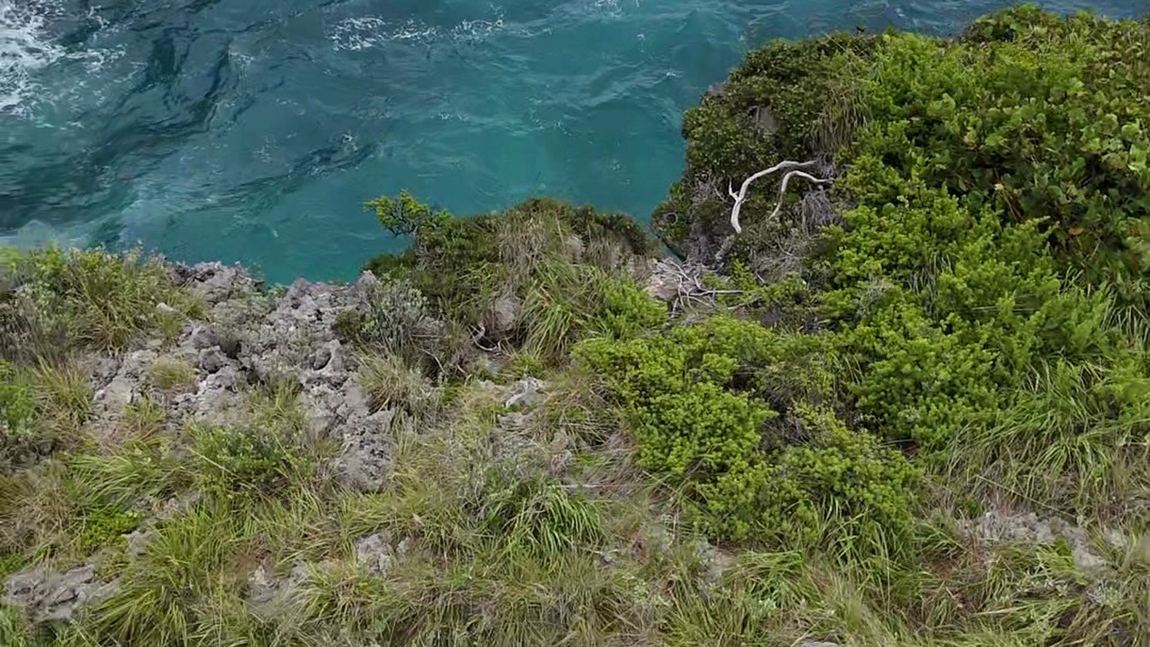 Turquoise inlet on the Samaná coast