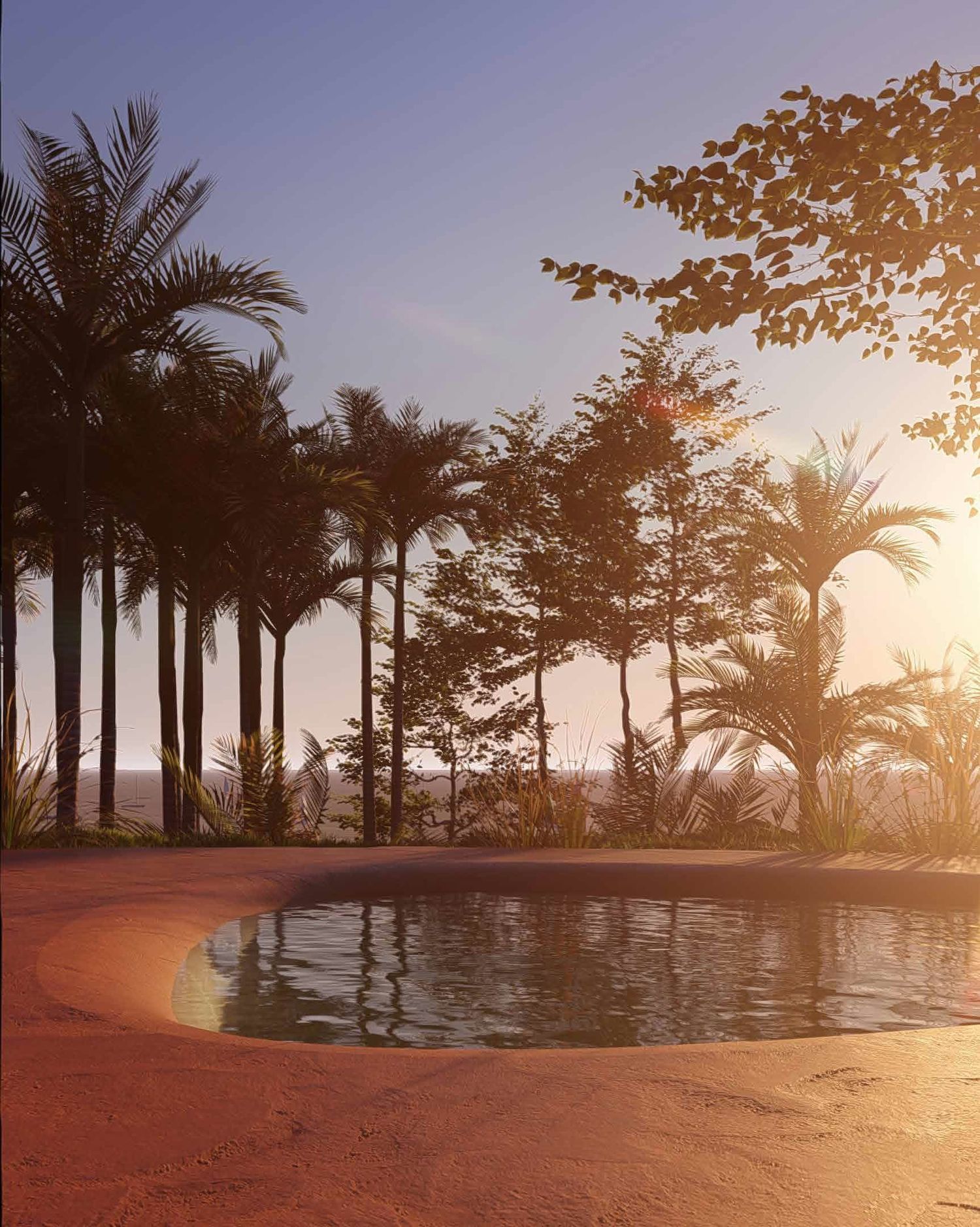 Palm approach and reflecting pool at Taína, rendering